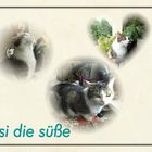 Unsere liebe Susimama