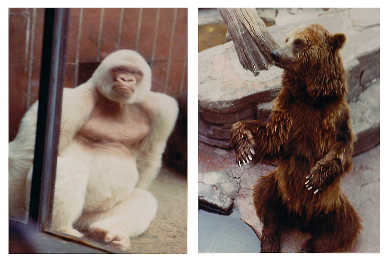 Unsere Lieblinge im Zoo von Barcelona  1979