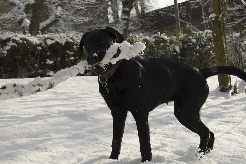 Unsere Mac im Schnee