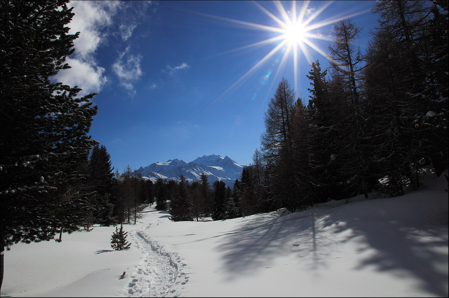 Unsere Mosalp - Wallis Schneeschuh-Wanderung