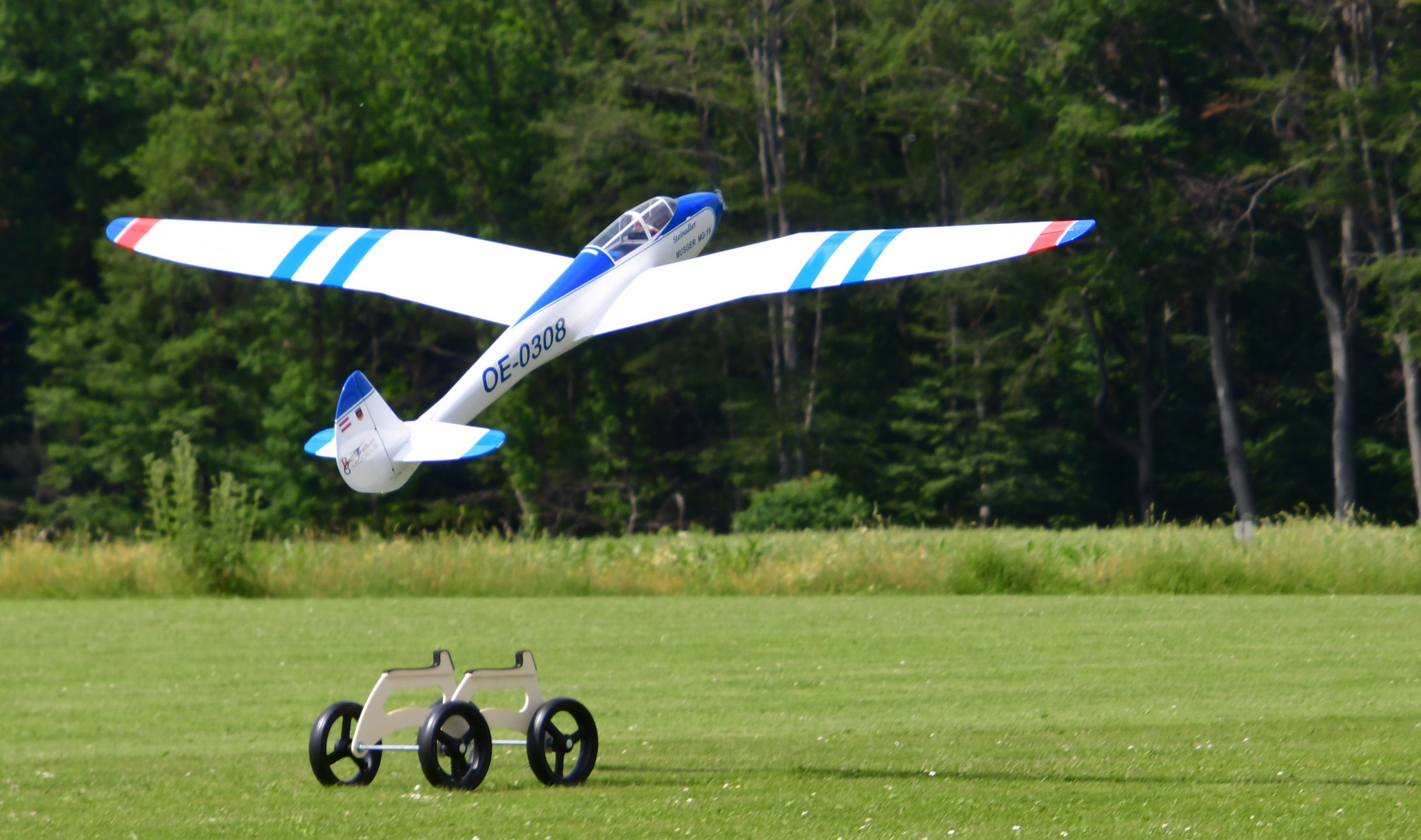 Unsere Musger MG 19 Steinadler 