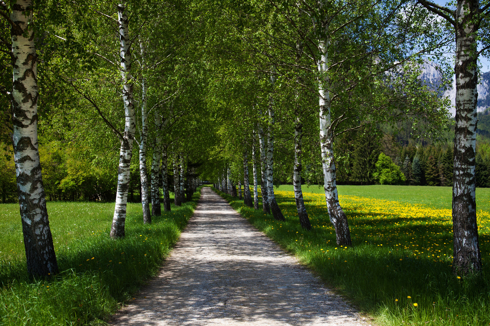 Unsere Natur im Frühlingslook