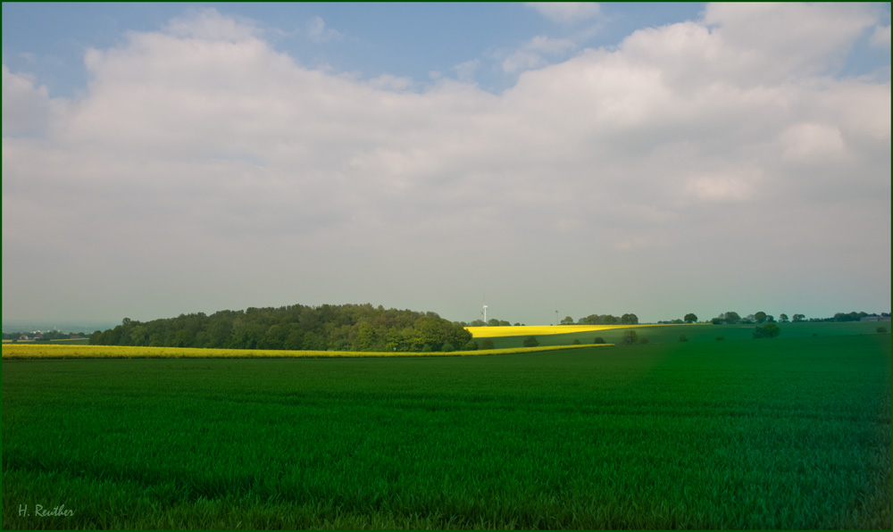 Unsere Natur in frischen schönen Farben.