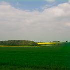 Unsere Natur in frischen schönen Farben.