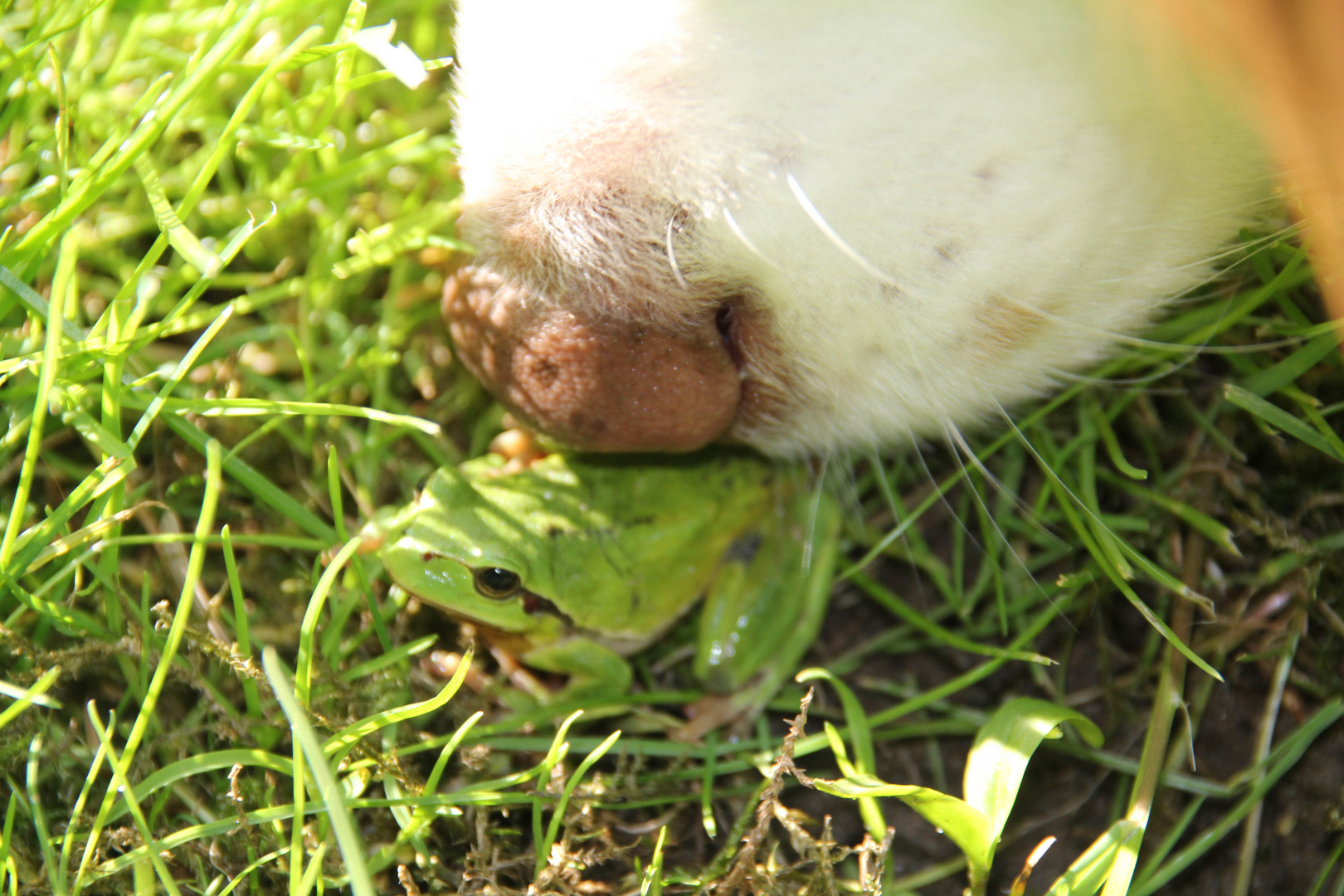 Unsere neugierige Tierliebhaberin