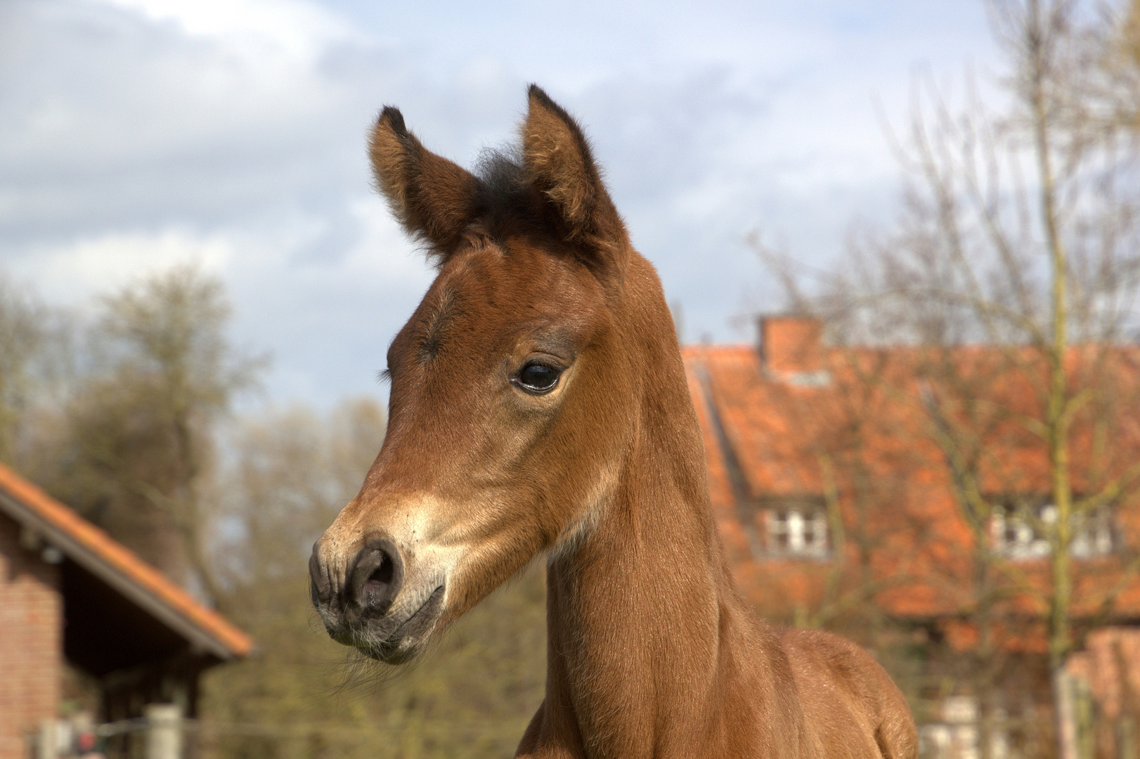 Unsere Püppi ...