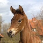 Unsere Püppi ...