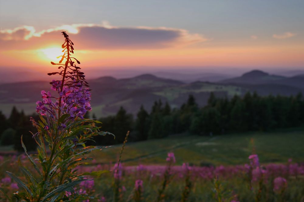 unsere RHÖN