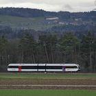 Unsere S-Bahn, im Dorf nebenan hergestellt