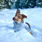 Unsere Schneekönigin...