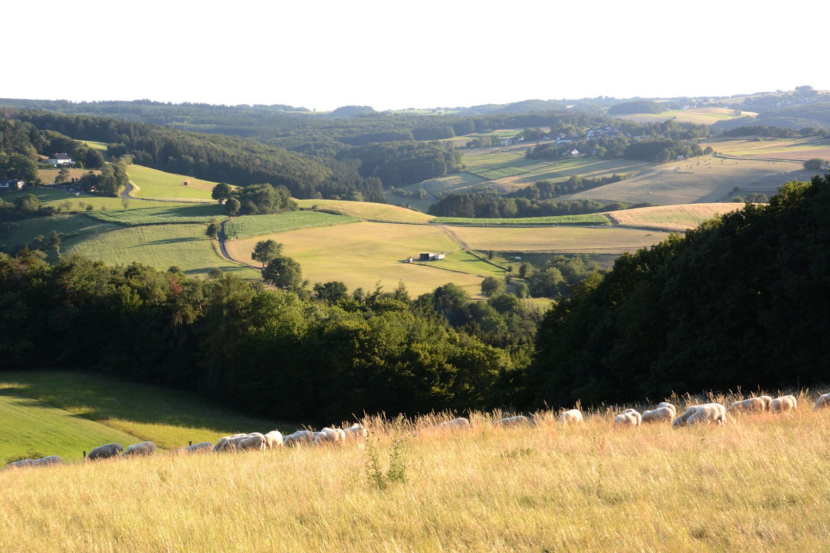 Unsere schöne Eifel 