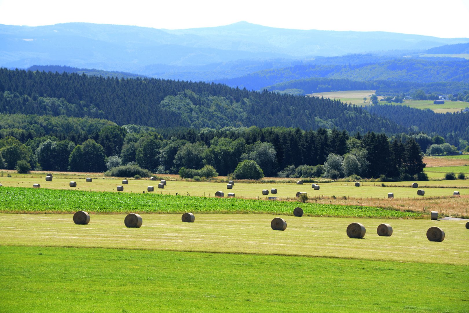 Unsere schöne Eifel an einem Sommertag