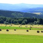 Unsere schöne Eifel an einem Sommertag