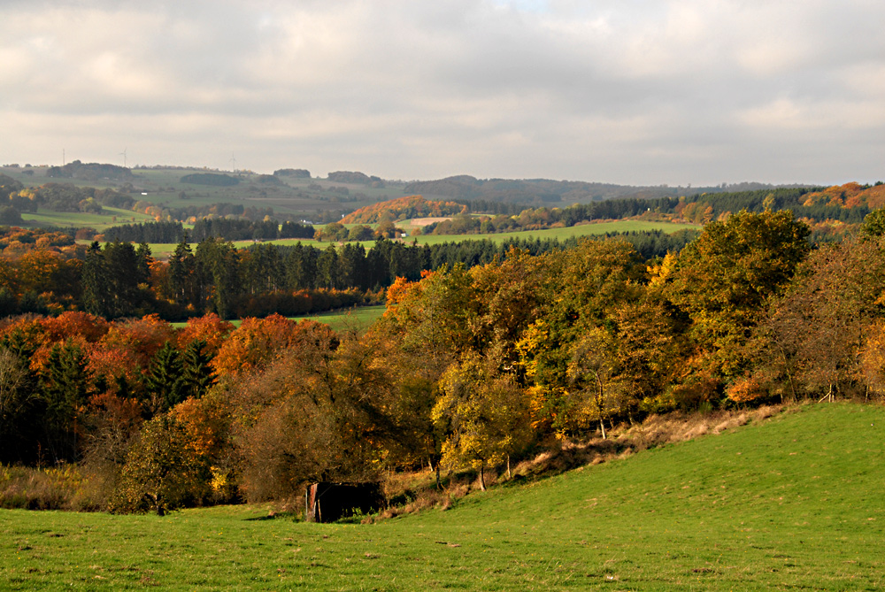 Unsere schöne Eifel im Herbst