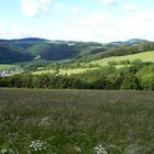 Unsere schöne Eifel im Sommer I