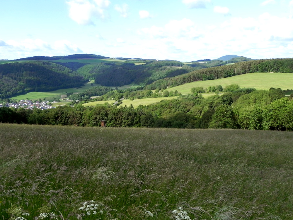 Unsere schöne Eifel im Sommer I Foto & Bild deutschland, europe