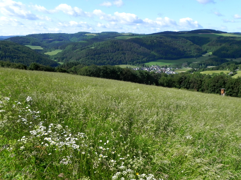 Unsere schöne Eifel im Sommer II