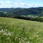 Unsere schöne Eifel im Sommer II