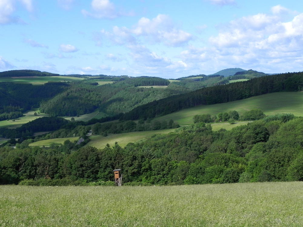 Unsere schöne Eifel im Sommer III