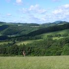 Unsere schöne Eifel im Sommer III