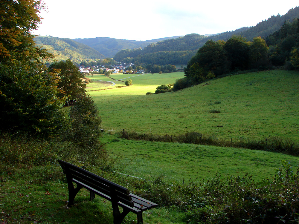 Unsere schöne Eifel im Sommer IX