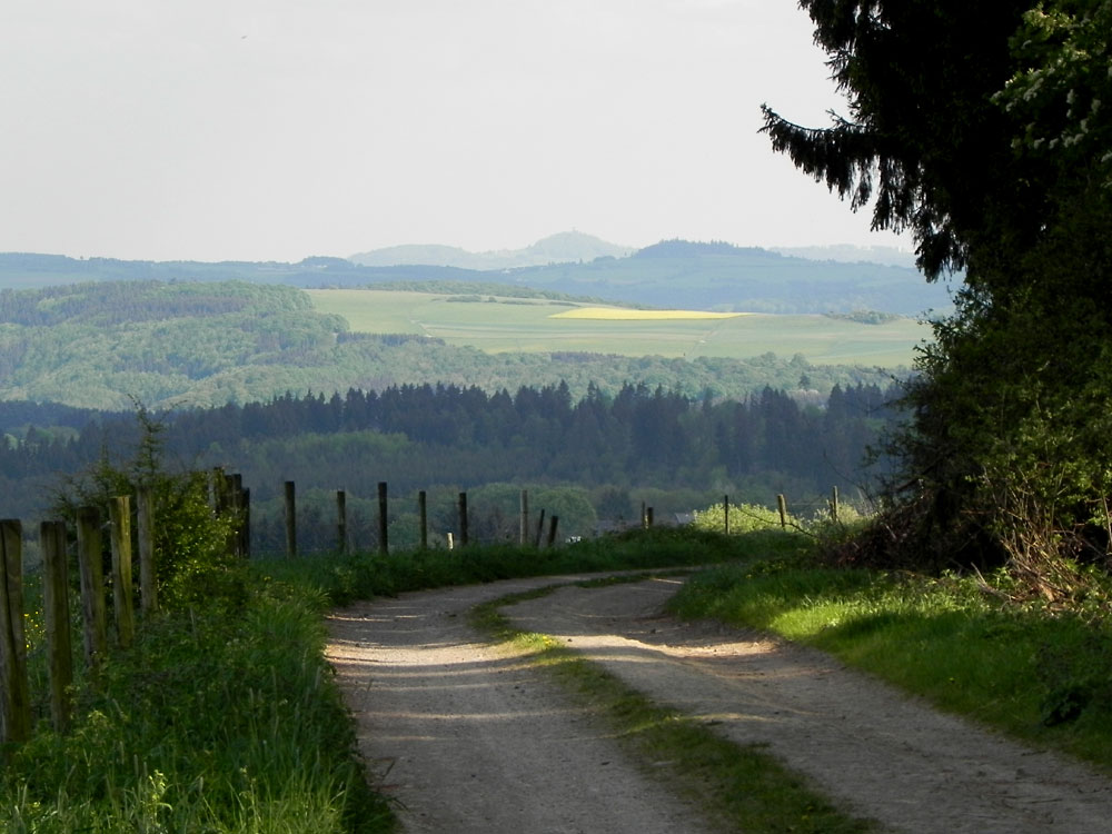 Unsere schöne Eifel - Weg am Waldrand 3