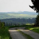 Unsere schöne Eifel - Weg am Waldrand 3