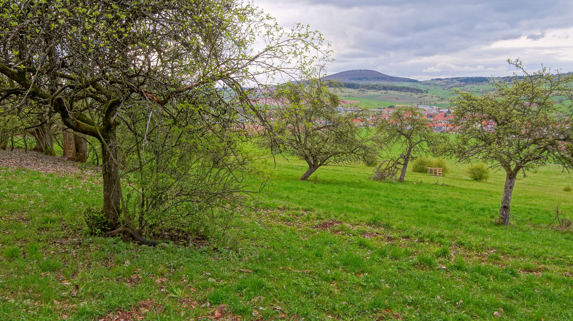 unsere schöne Landschaft, 1  (nuestro hermoso paisaje, 1)