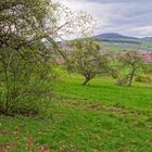 unsere schöne Landschaft, 1  (nuestro hermoso paisaje, 1)