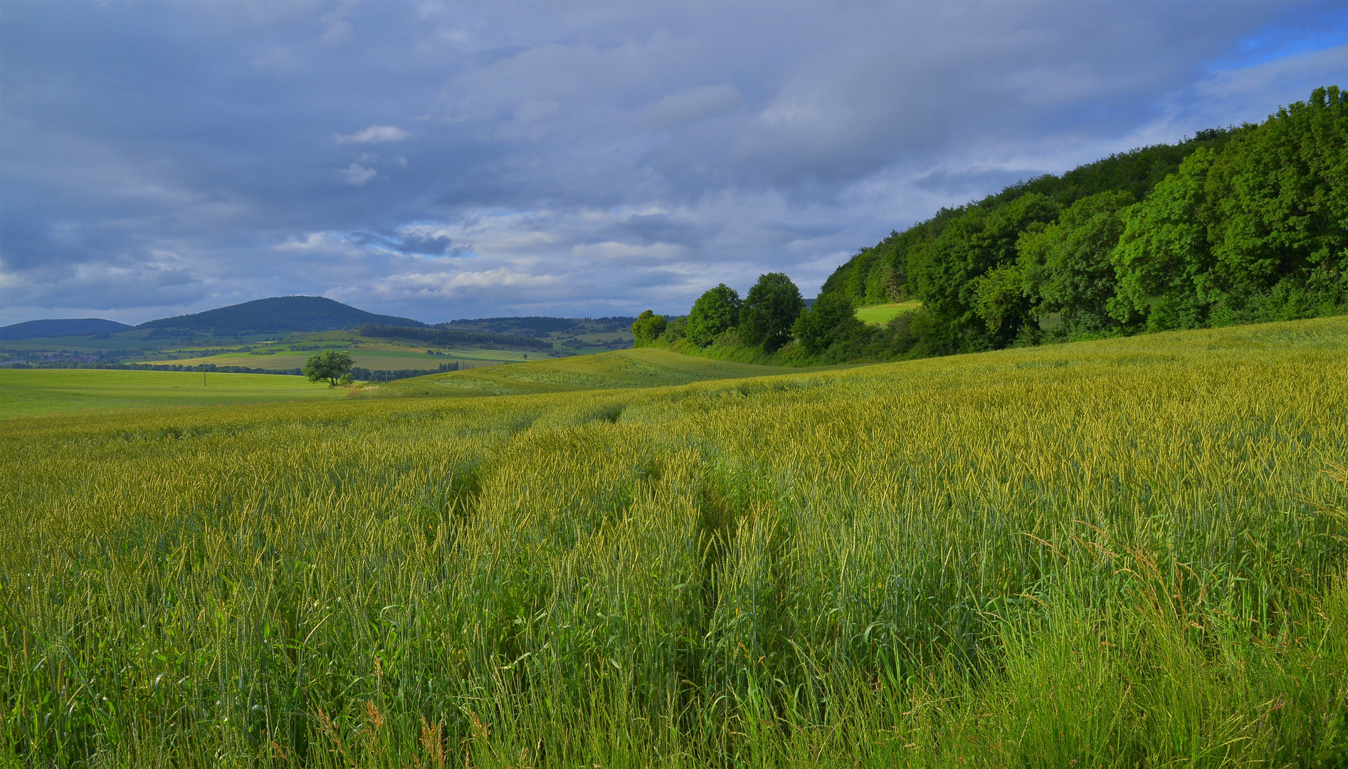 unsere schöne Landschaft, 5 (nuestro hermoso paisaje, 5) 