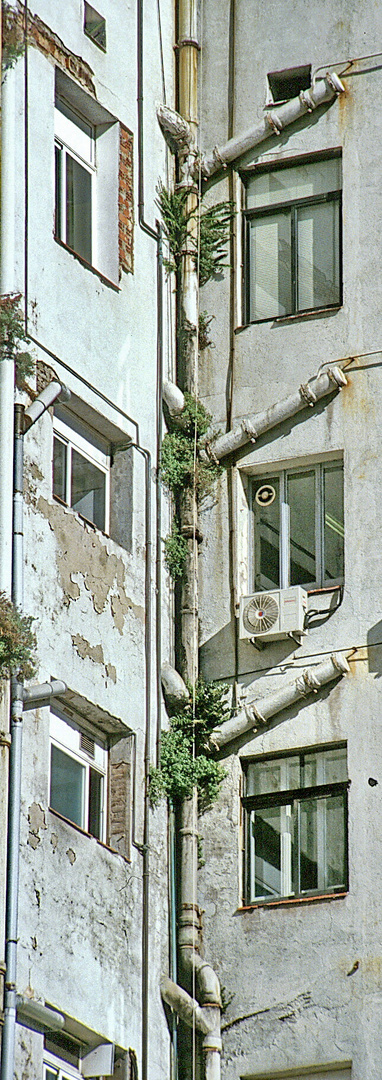 Unsere Stadt soll grüner werden