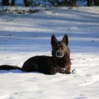 Unsere Süße im Schnee