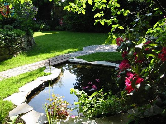 Unsere Teich-Idylle