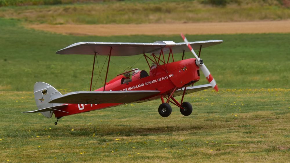 Unsere Tiger Moth