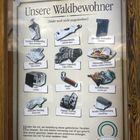 Unsere Waldbewohner + FFP-2 NR...?