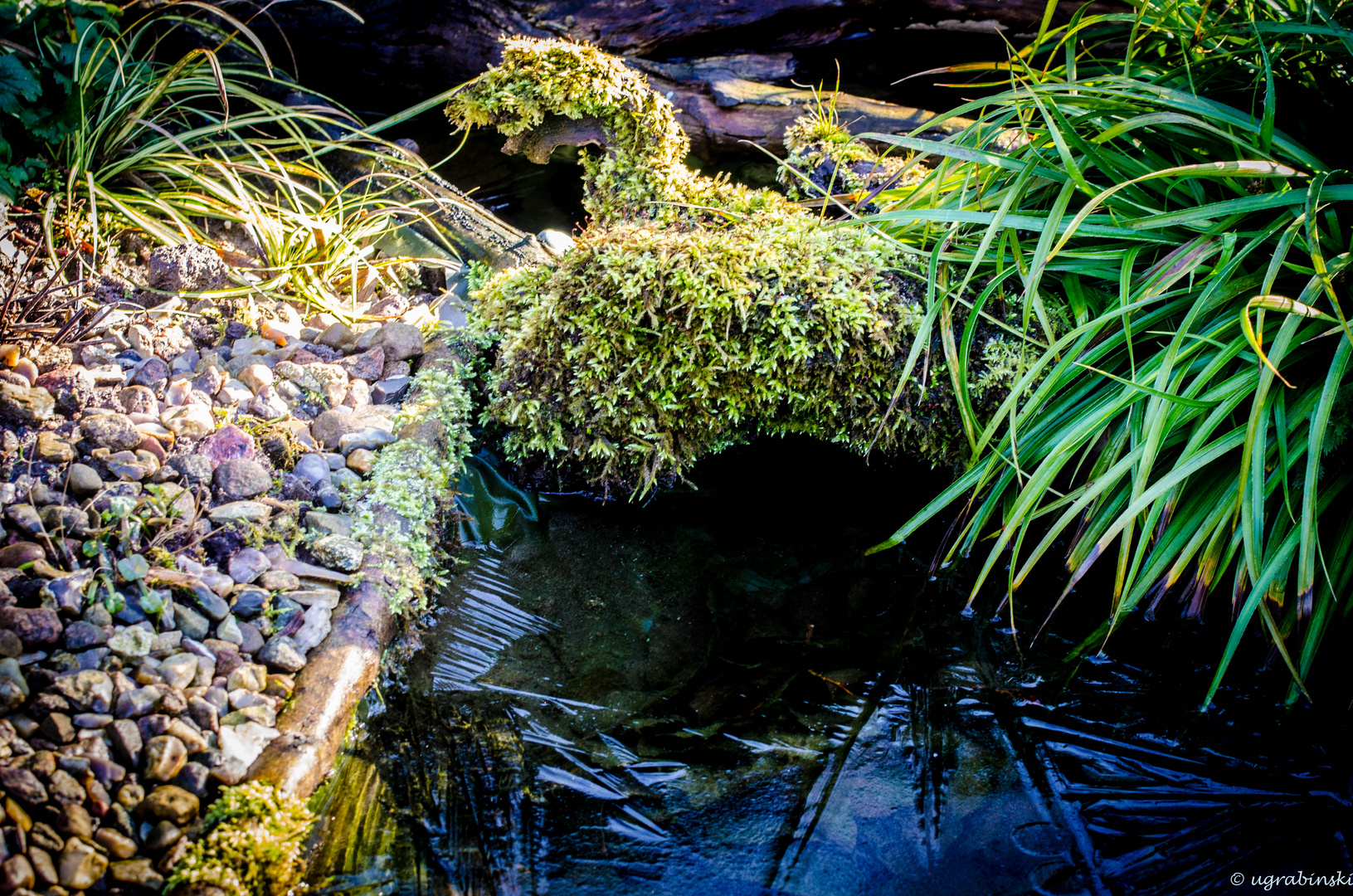 unsere Wasserläufe im Garten