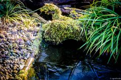 unsere Wasserläufe im Garten