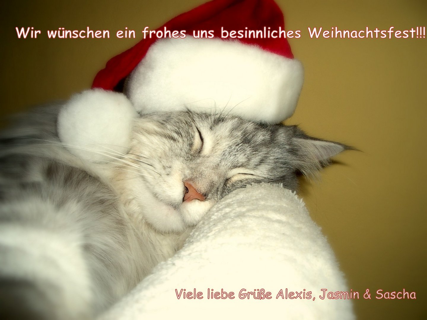 Unsere Weihnachts-Alexis