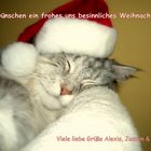 Unsere Weihnachts-Alexis