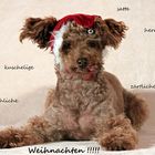 unsere Weihnachtskarte 2012