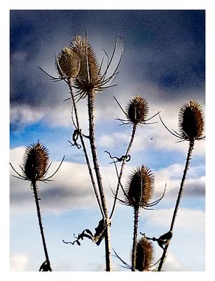 Unsere Welt braucht Hoffnungsträger!