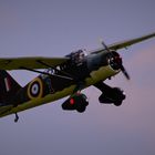 Unsere Westland Lysander 