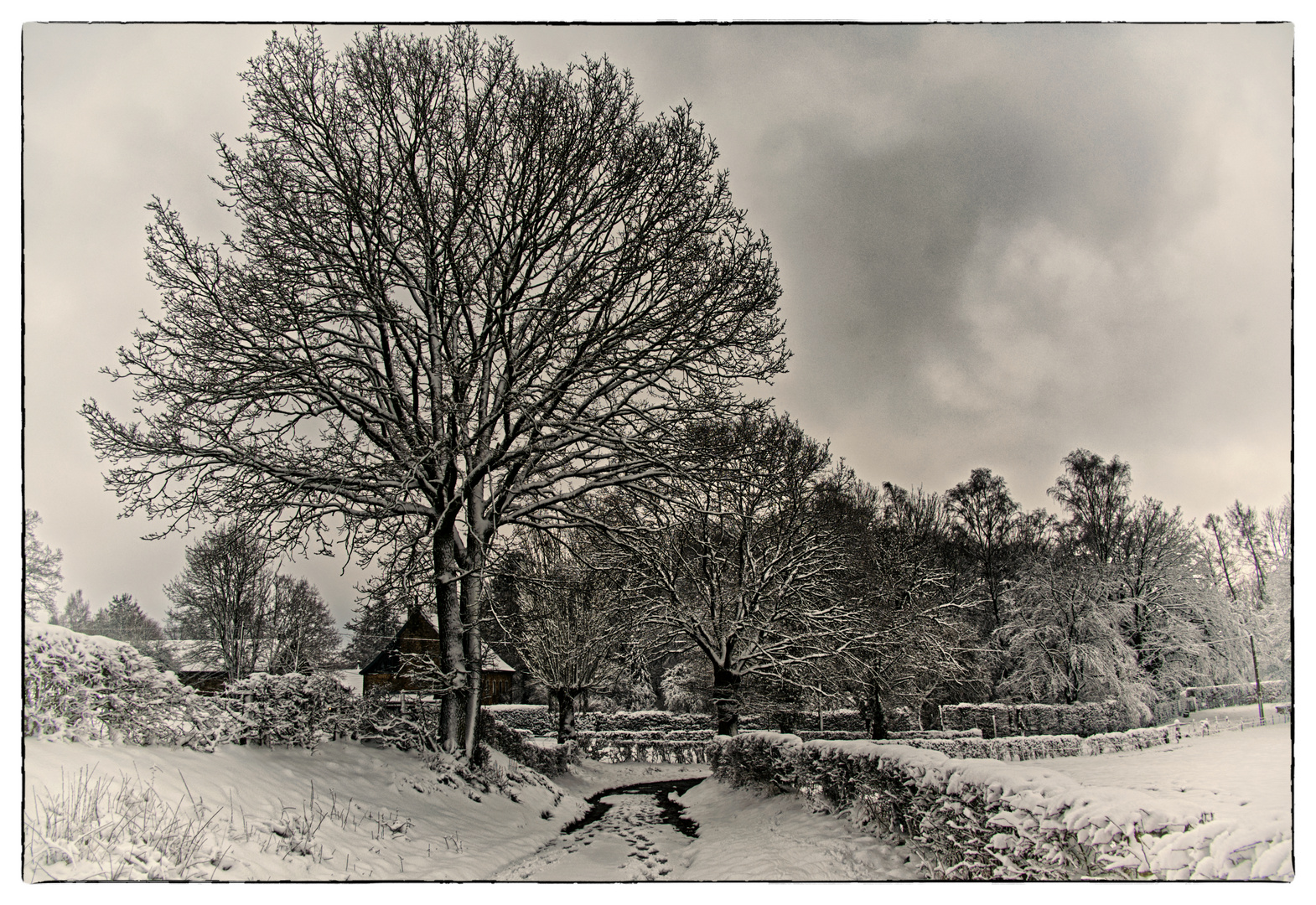 Unsere Winterlandschaft heute - Notre paysage hivernal aujourd'hui