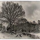 Unsere Winterlandschaft heute - Notre paysage hivernal aujourd'hui