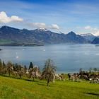 Unsere Wohngemeinde Horw, mit Blick in das schöne Bergpanorama.