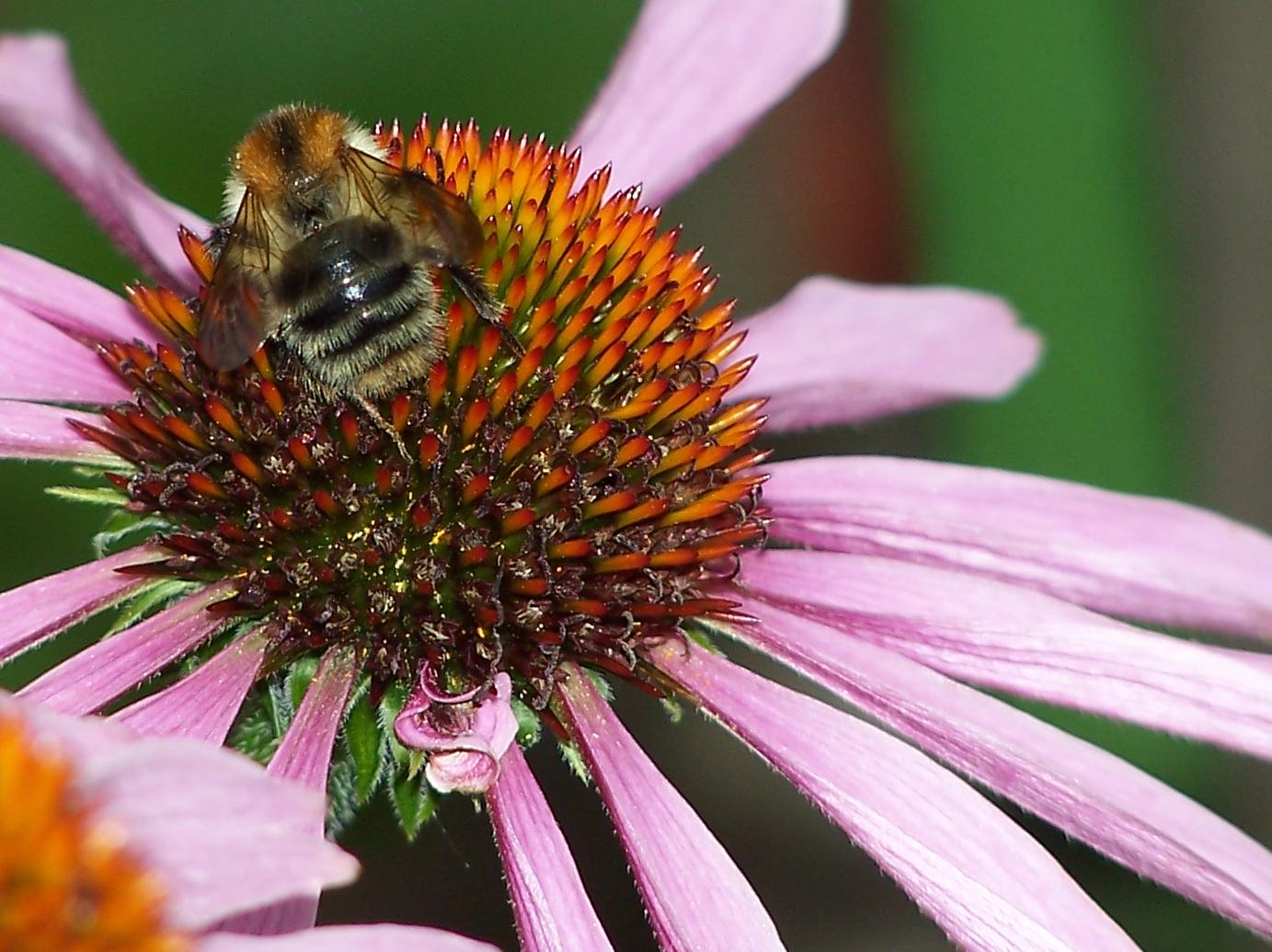 Unsere wunderschöne Natur