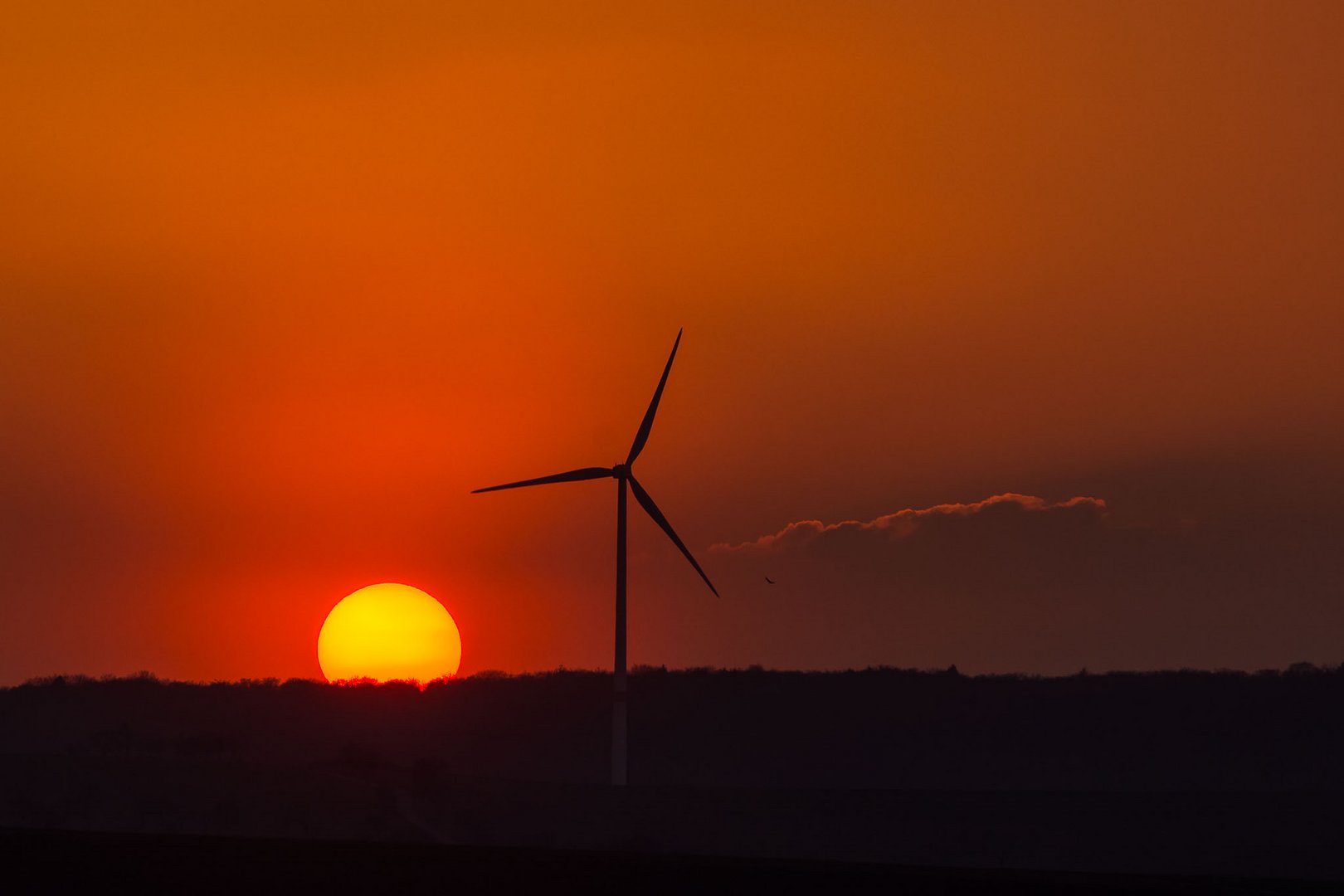 Unsere Zwei großen Energielieferanten.