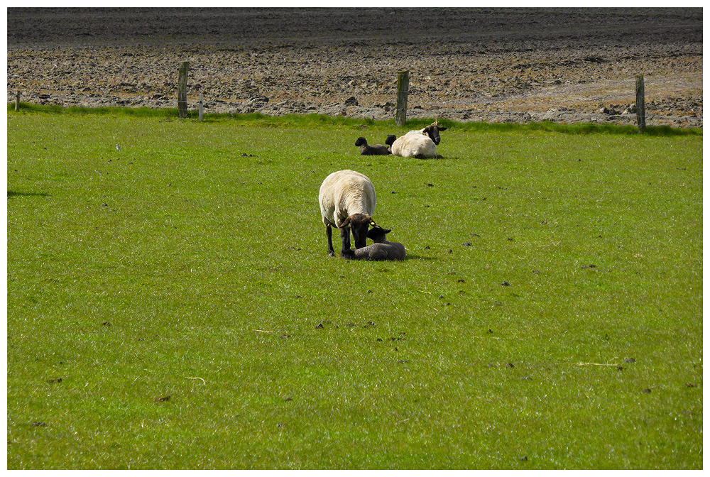 Unseren Osterurlaub...VII...