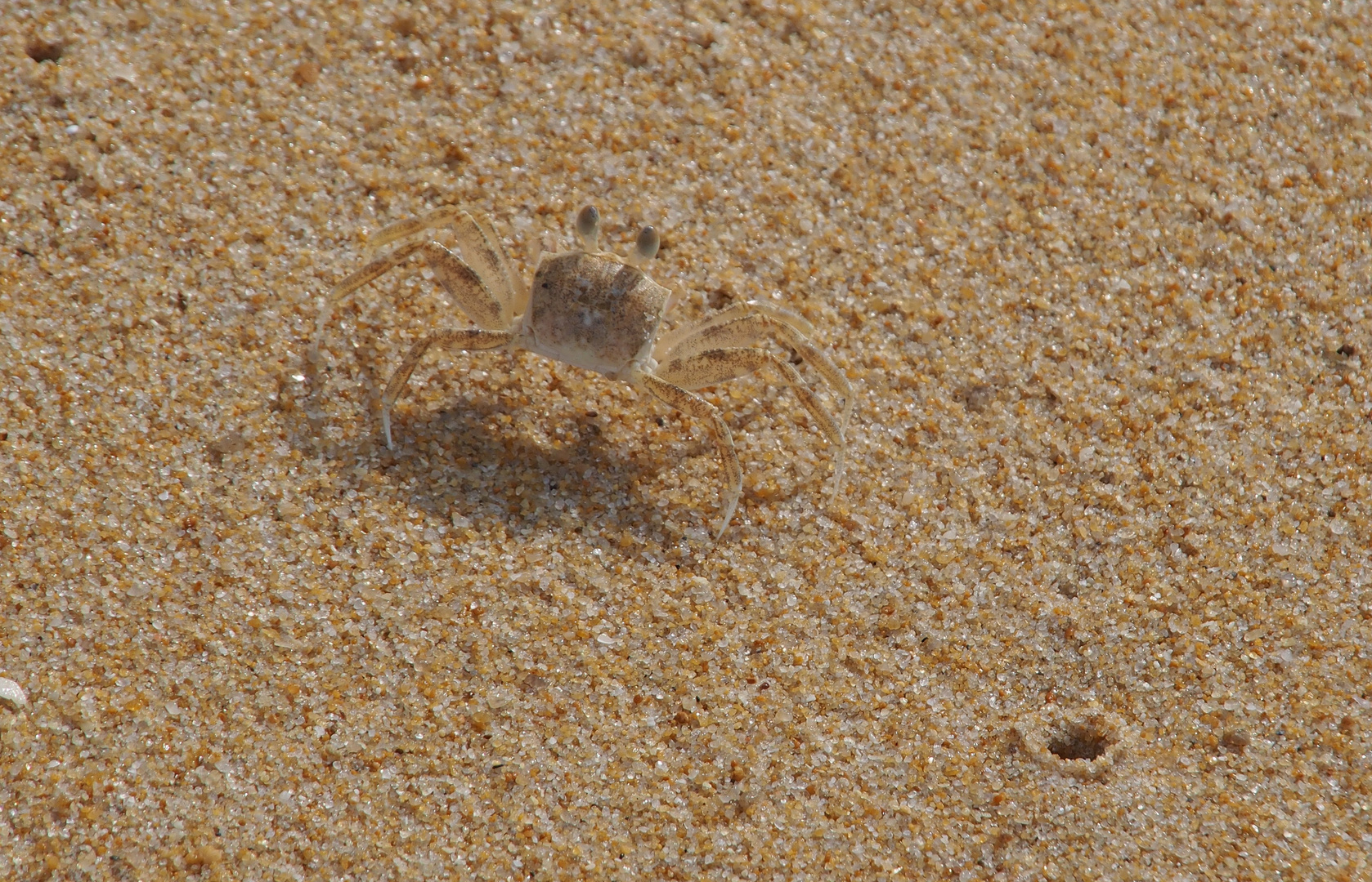 Unsichtbar Foto & Bild asia, thailand, southeast asia Bilder auf