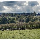 Unsre frühherbstliche Wiesenlandschaft - Notre paysage au début d'automne